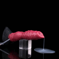 Dildosstore