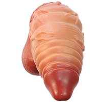 Dildosstore