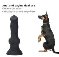 Dildosstore