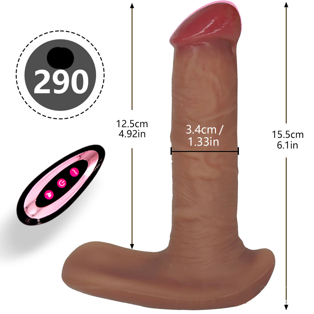 Tragbarer Dildo mit Vibrationsfernbedienung