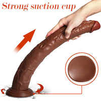 Dildosstore
