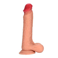 Dildosstore